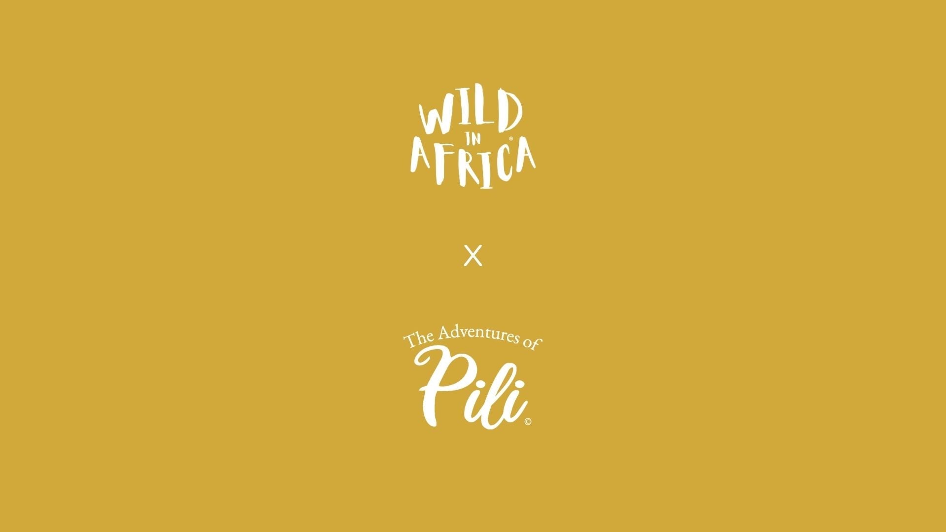 Exploring The Adventures of Pili: A Journey in Conservation and Education