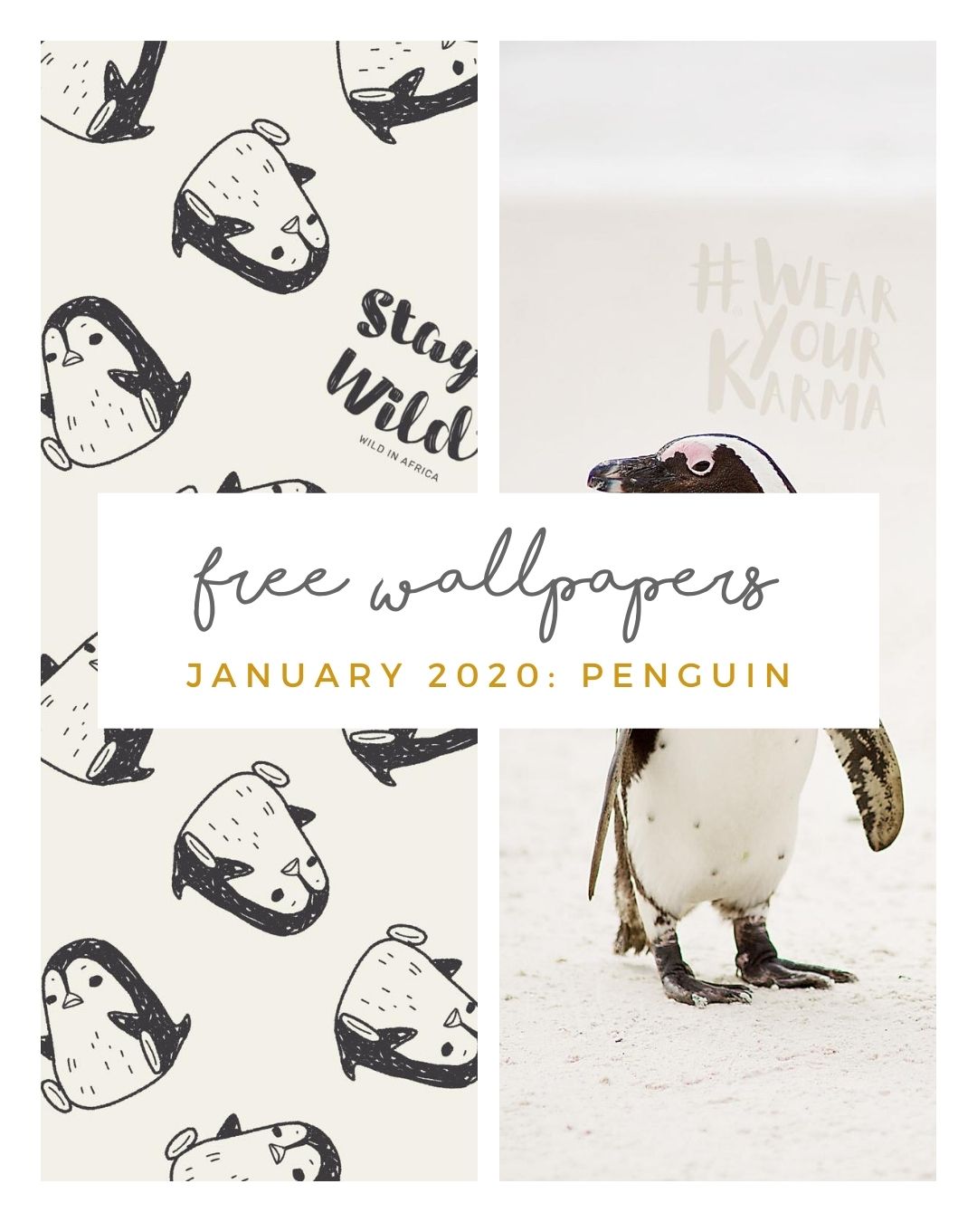 Penguins Light Background Wallpaper