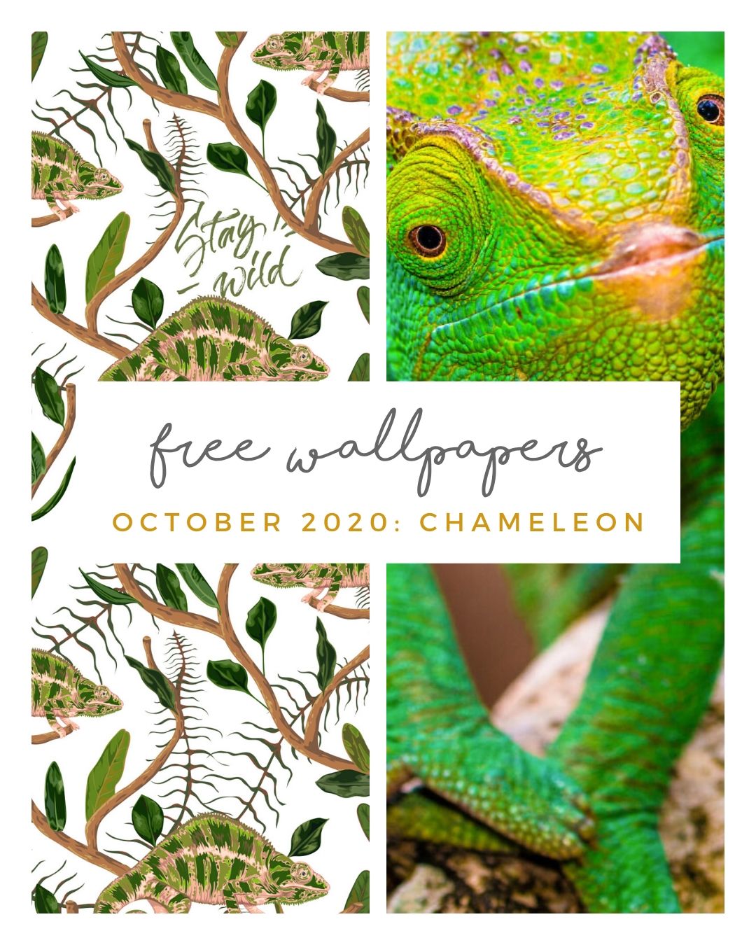 FREE OCTOBER DOWNLOADS