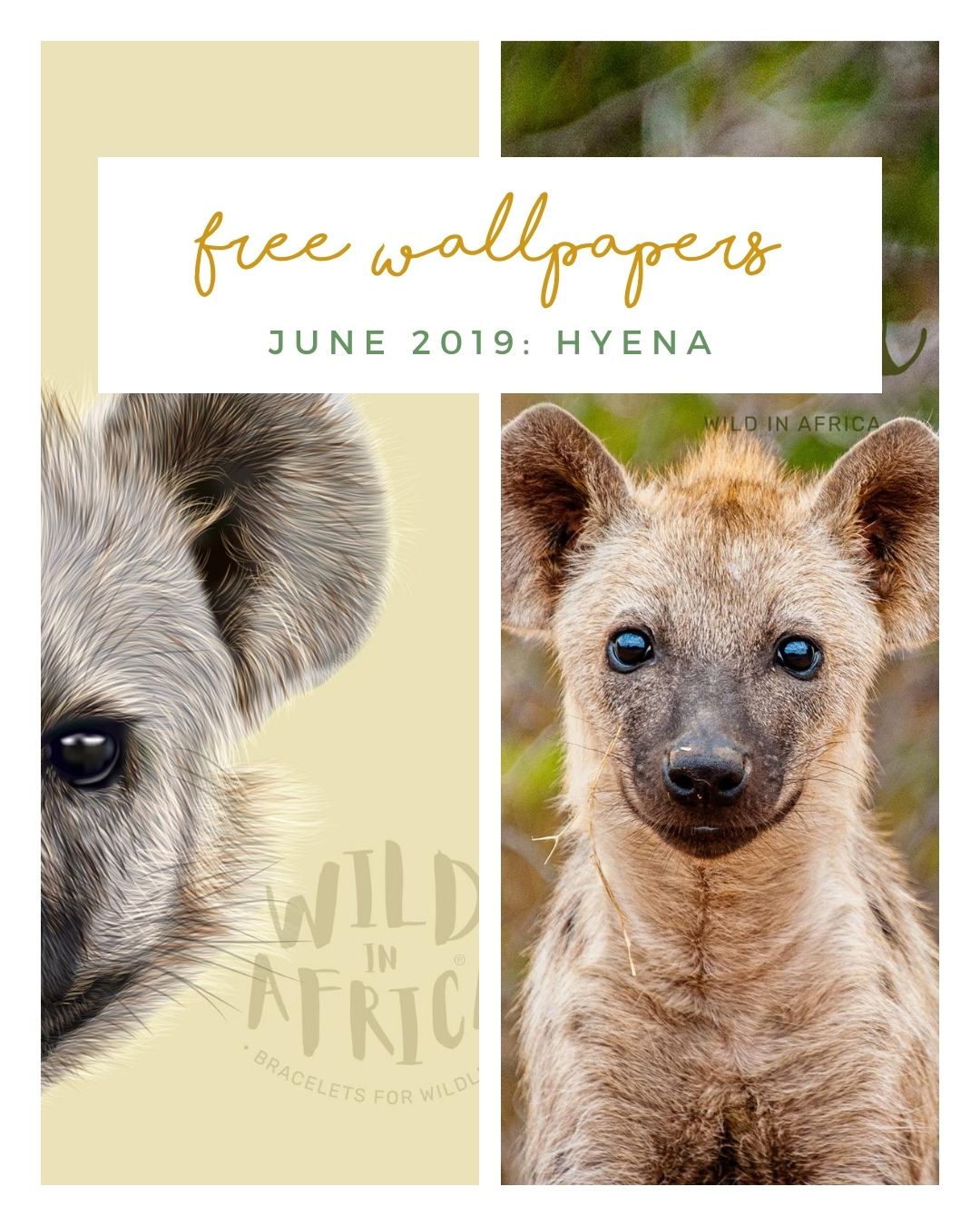 FREE JUNE DOWNLOADS