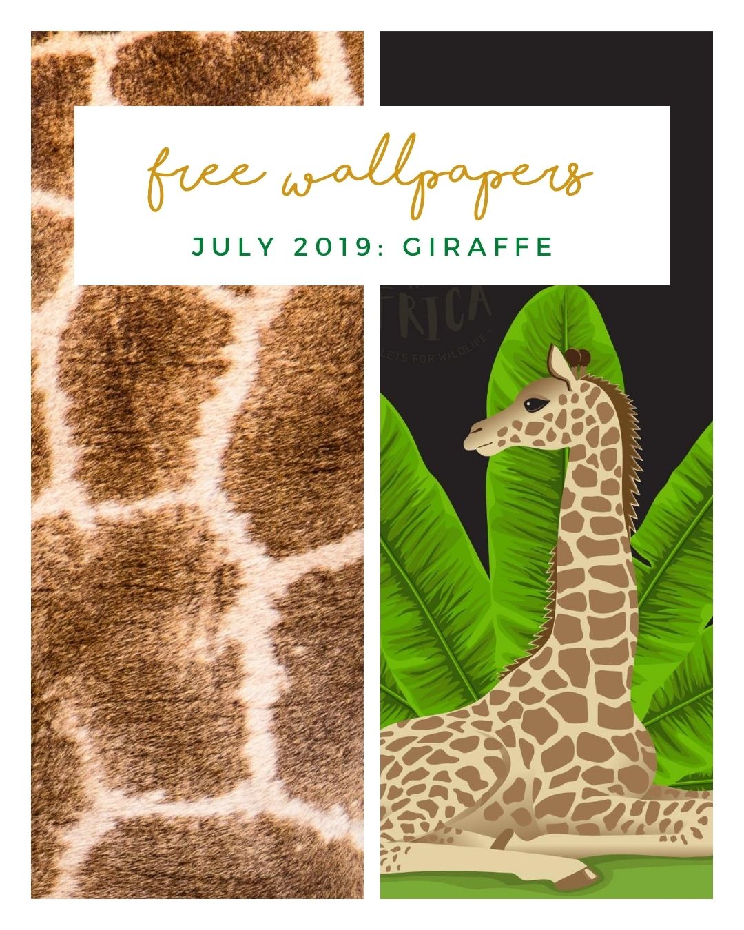 FREE JULY DOWNLOADS