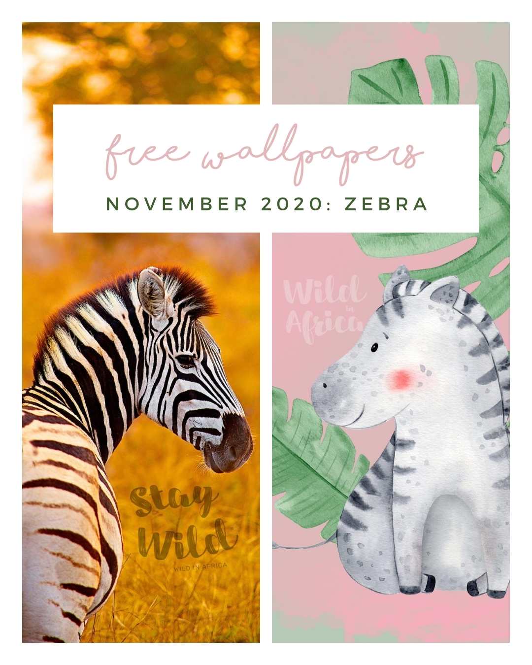 FREE NOVEMBER DOWNLOAD