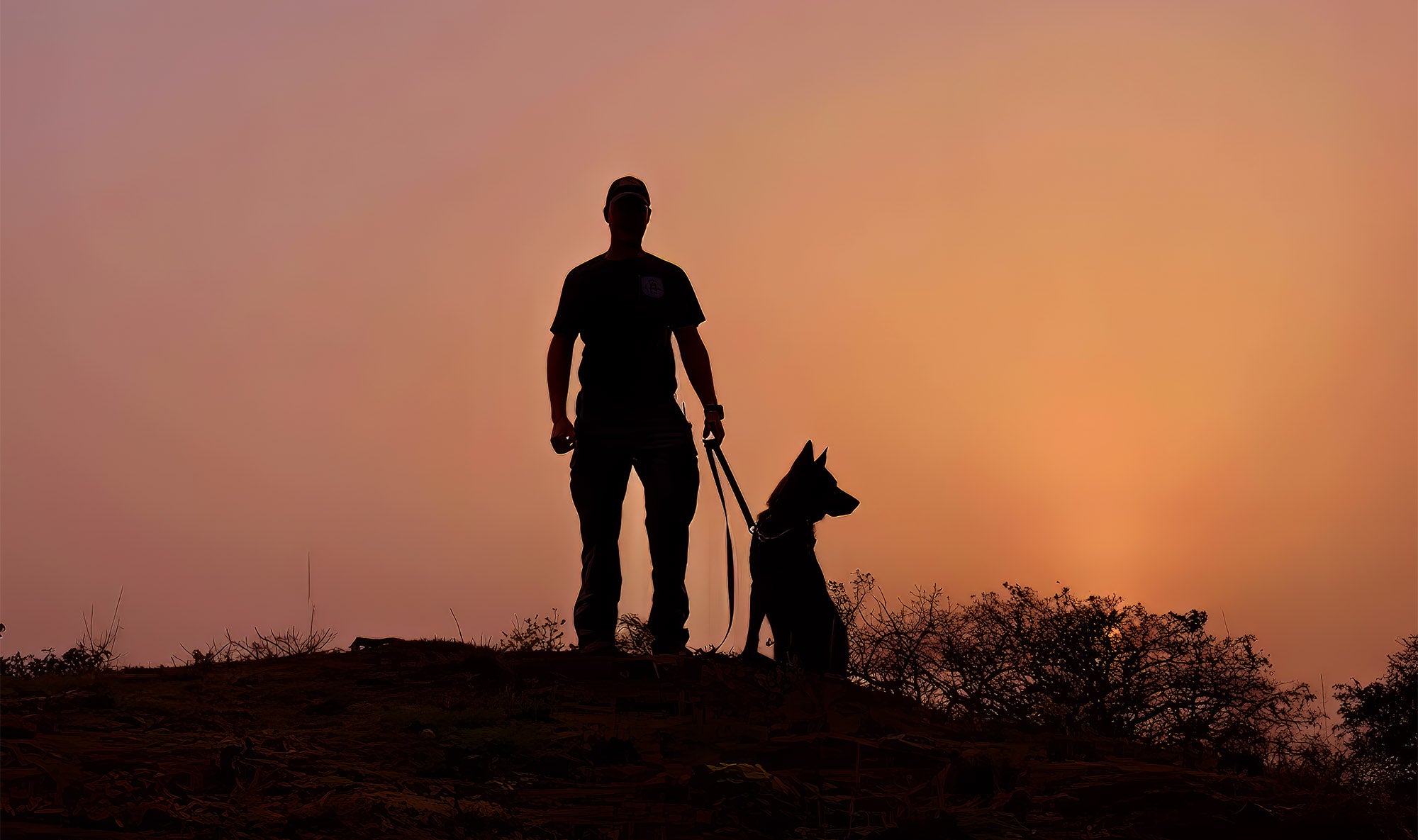Combating Illegal Wildlife Poaching: Awareness and Solutions