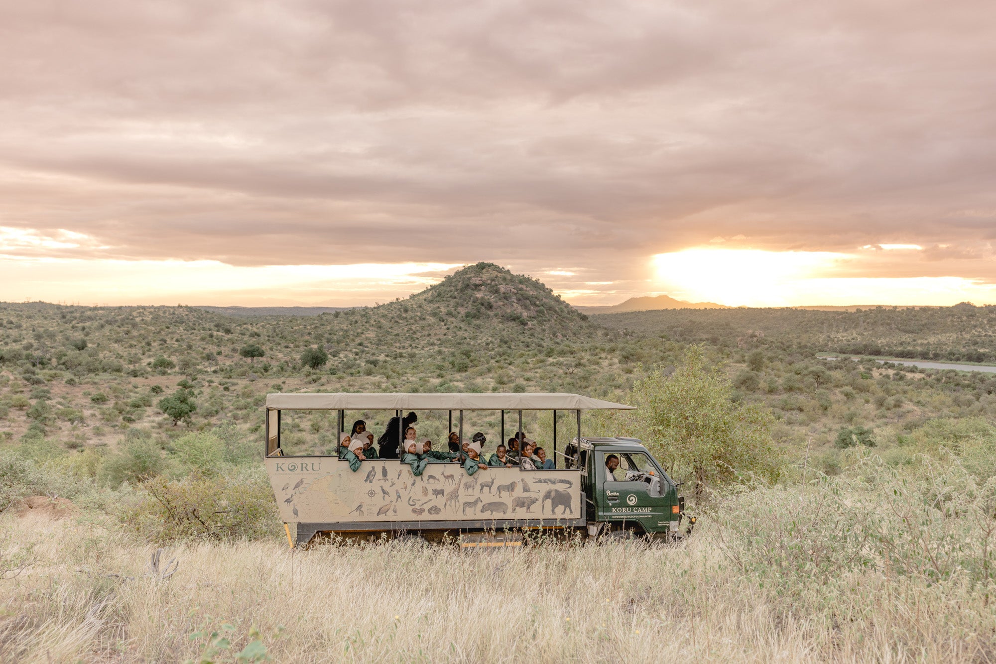 Save the Rhinos: How Your Purchase of a Rhino Revolution Bracelet Makes a Difference