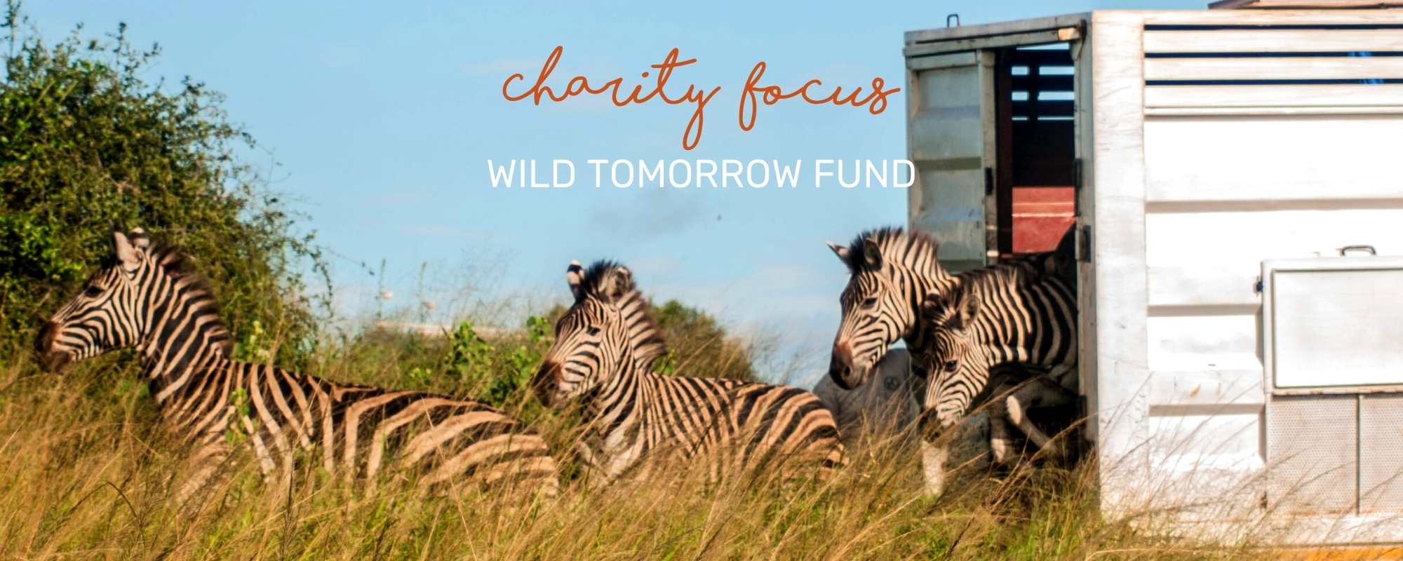 CHARITY FOCUS: WILD TOMORROW FUND