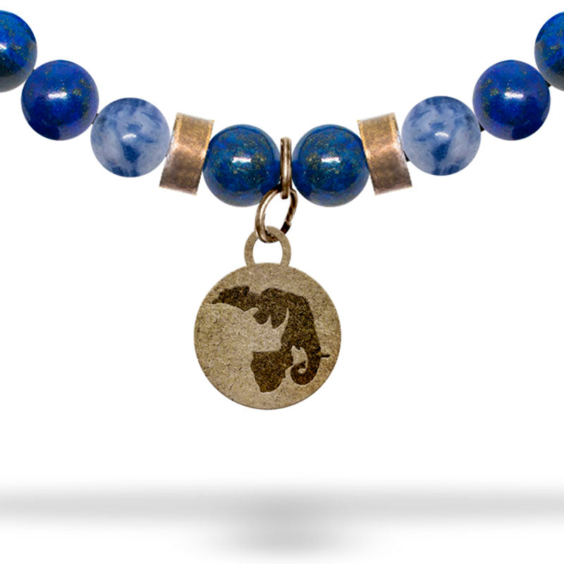 The Backwater Sanctuary - Horse Charity Bracelet