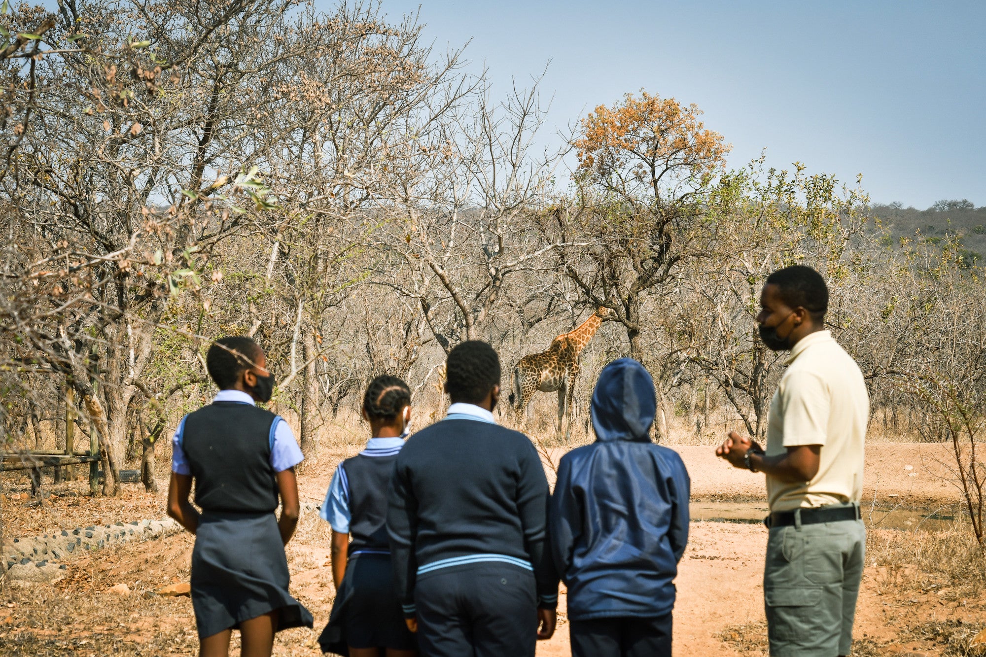 Timbavati Foundation Charity Bracelet
