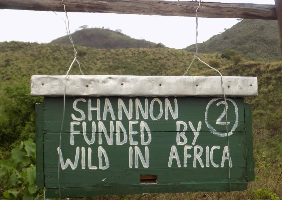 Shannon Funded By Wild In Africa