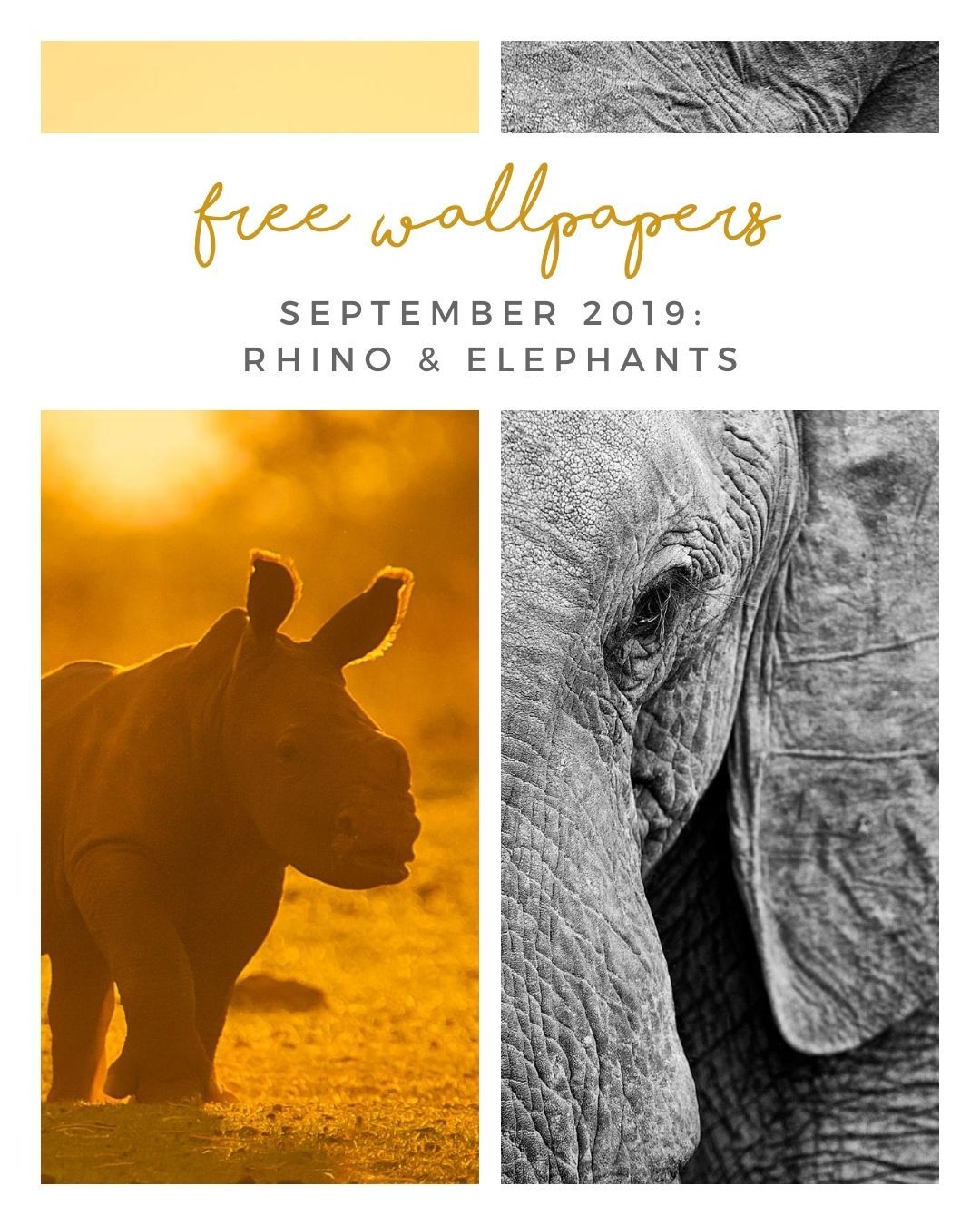 FREE SEPTEMBER DOWNLOADS