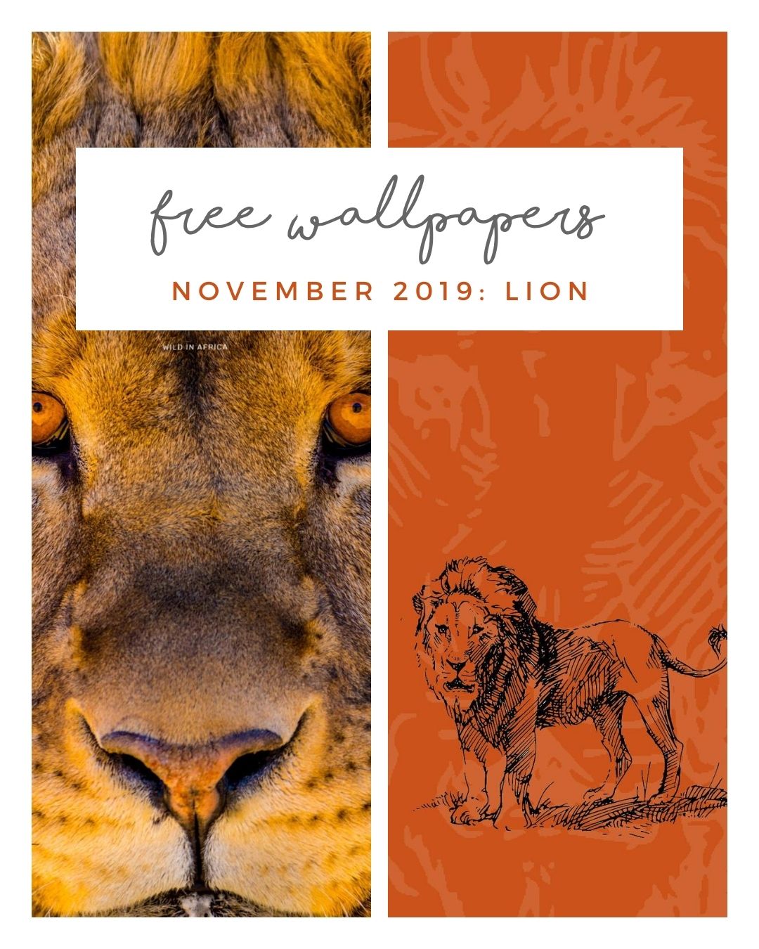 FREE NOVEMBER DOWNLOADS