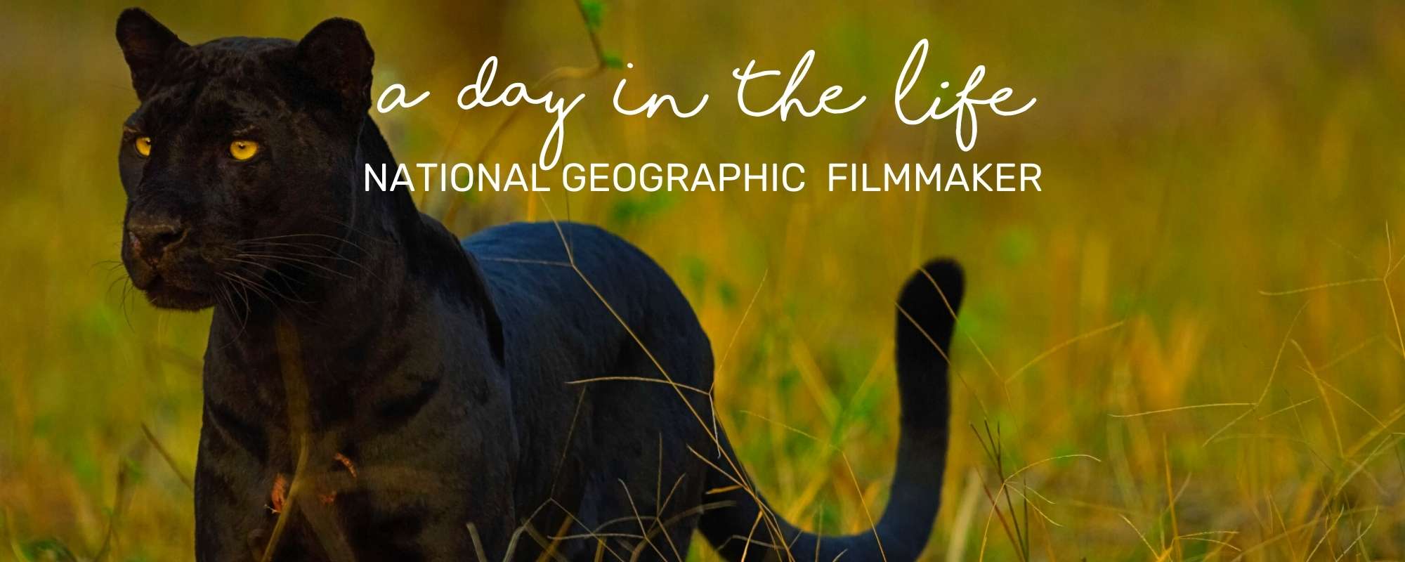 A DAY IN THE LIFE OF A NATIONAL GEOGRAPHIC FILMMAKER