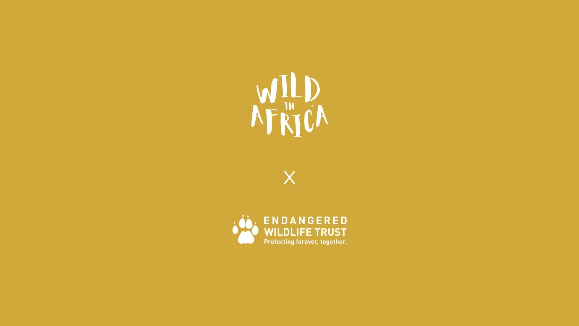 Introducing Our Exciting Collaboration with the Endangered Wildlife Trust: Making a Meaningful Impact Together