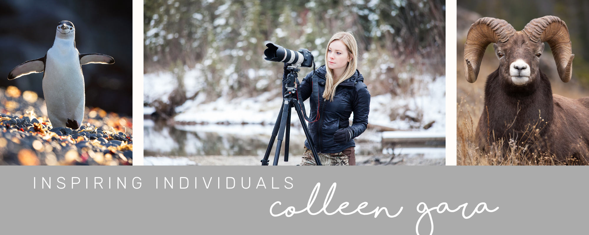 INSPIRING INDIVIDUALS: Colleen Gara