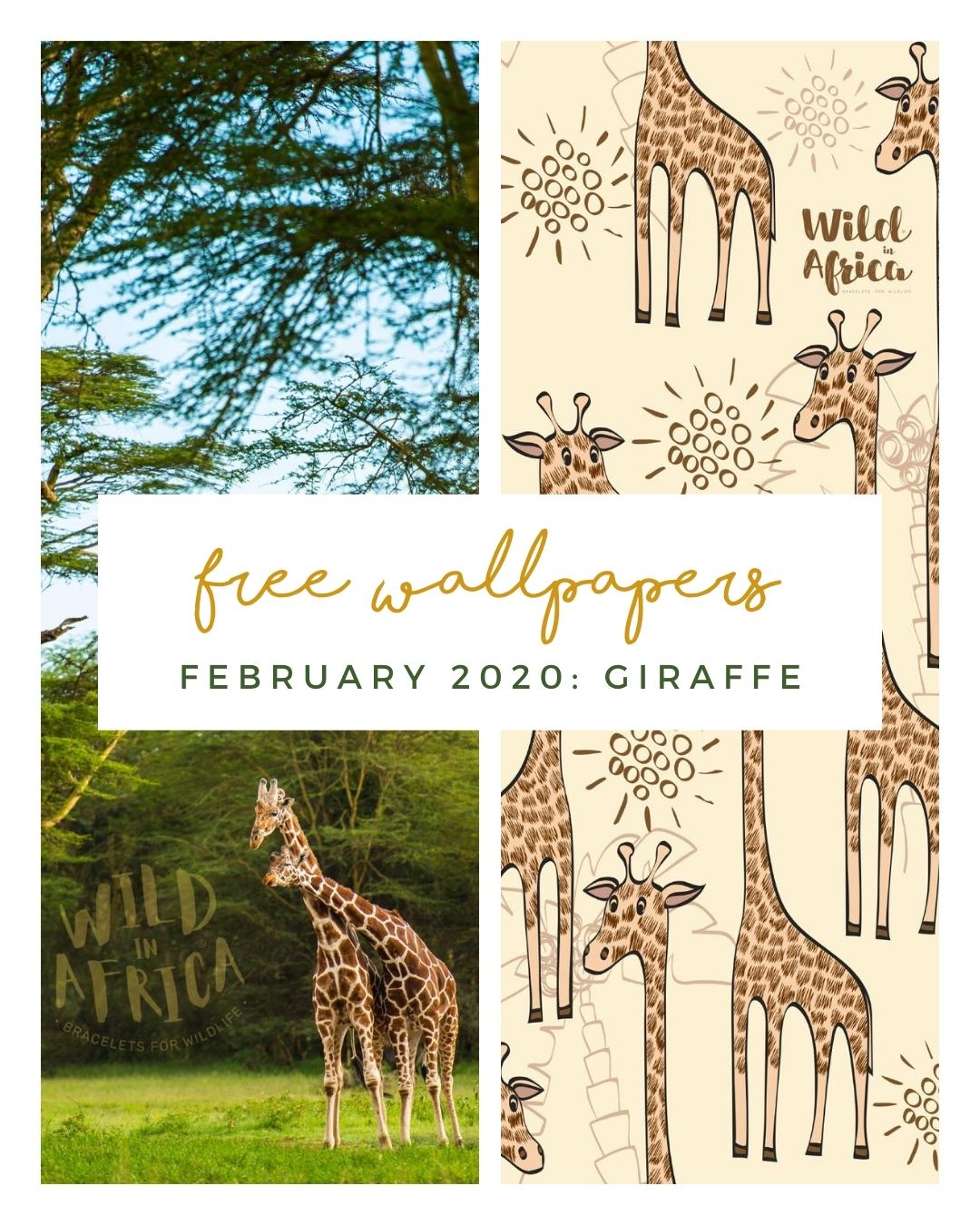 FREE FEBRUARY DOWNLOADS