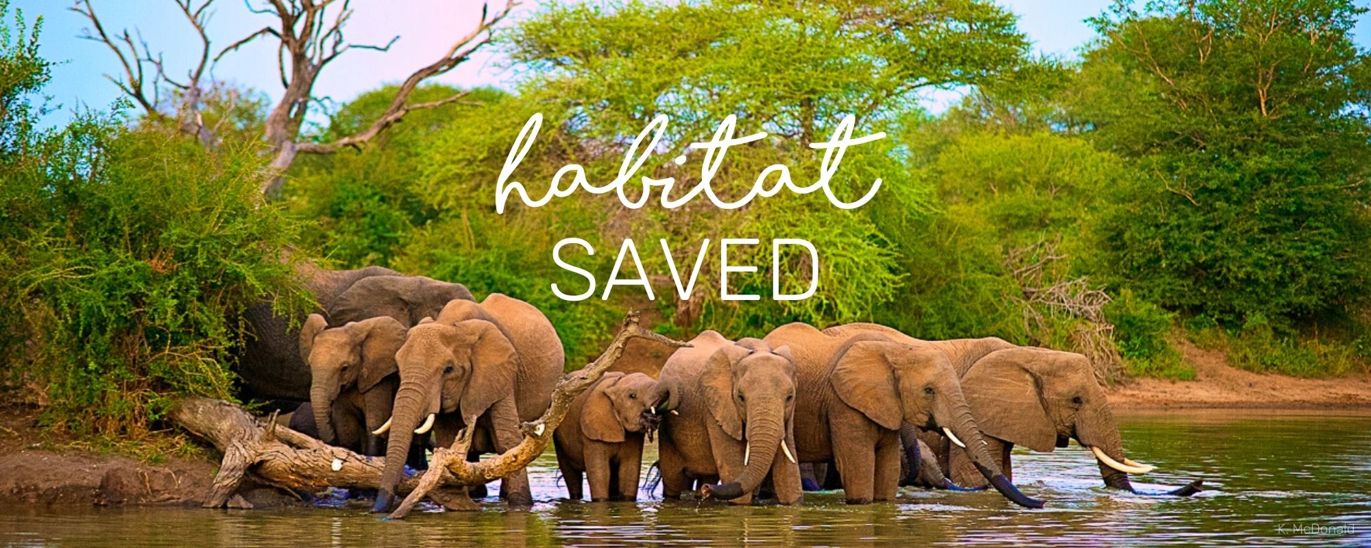 HABITAT SAVED!