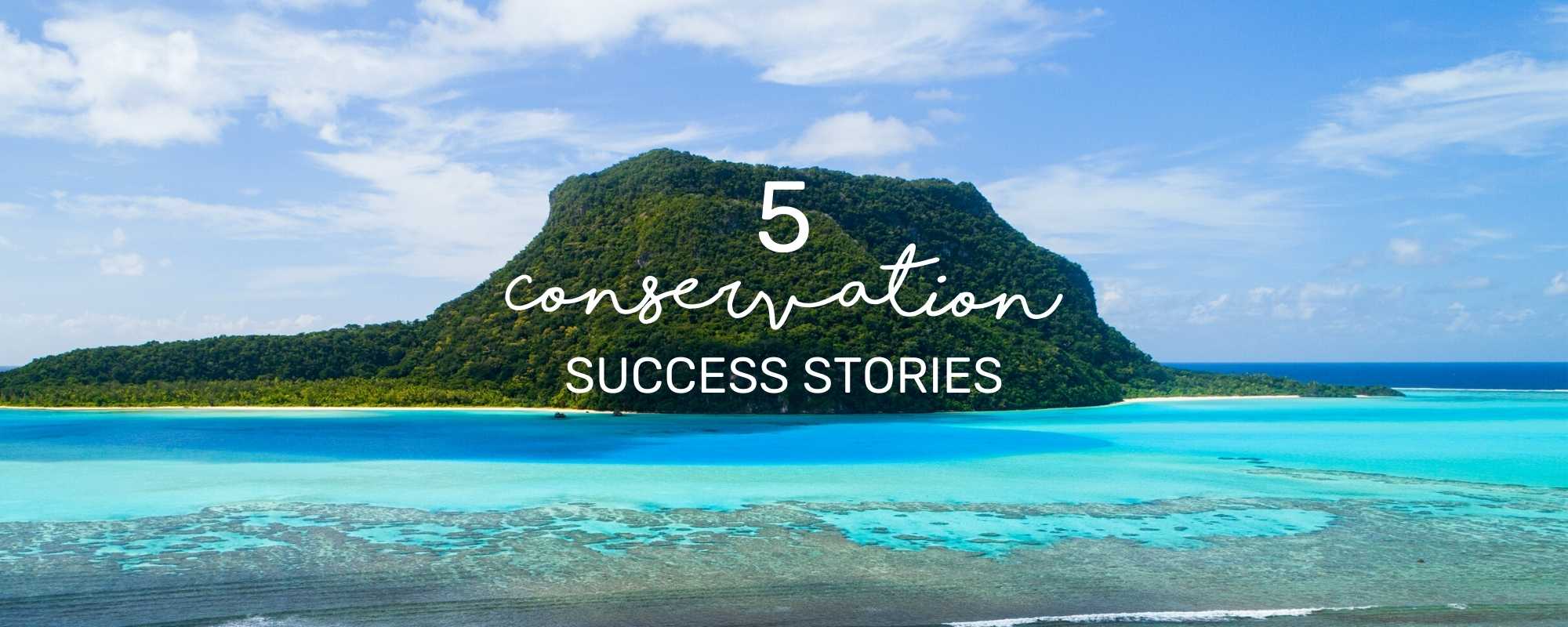 5 CONSERVATION SUCCESS STORIES