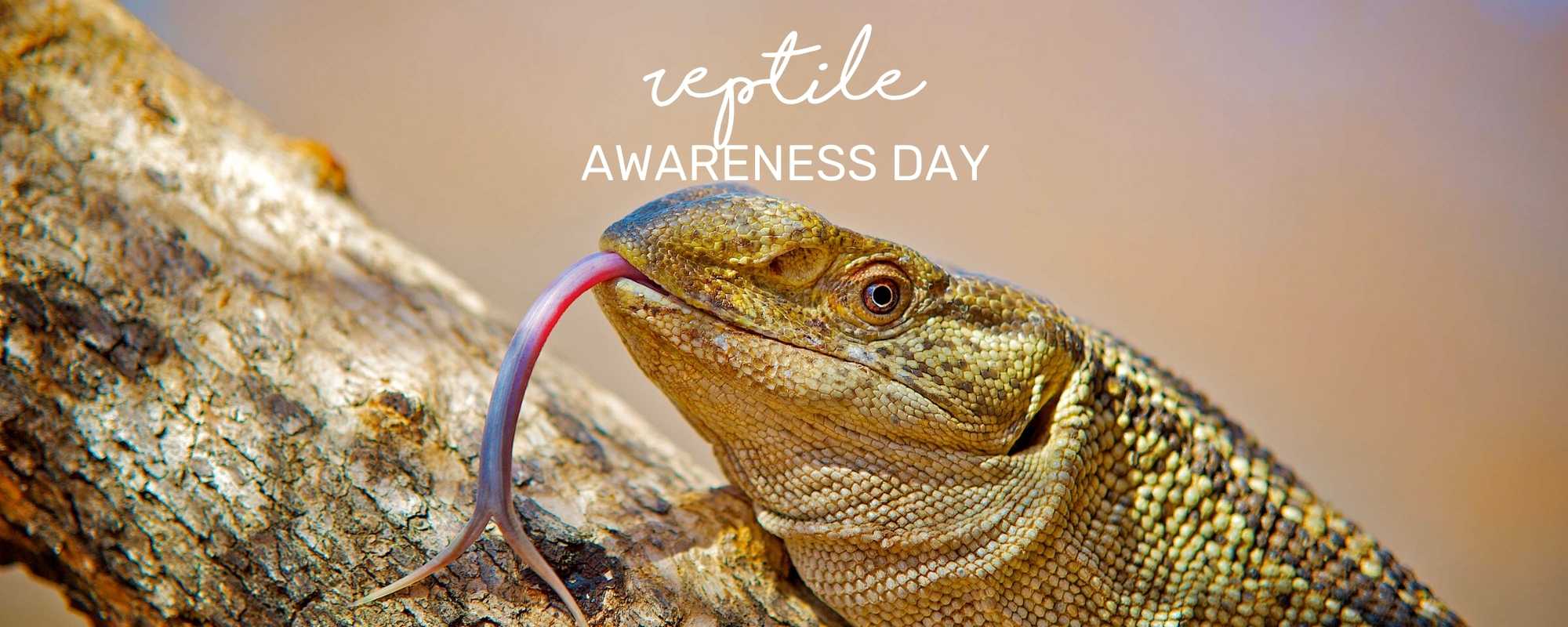 REPTILE AWARENESS DAY