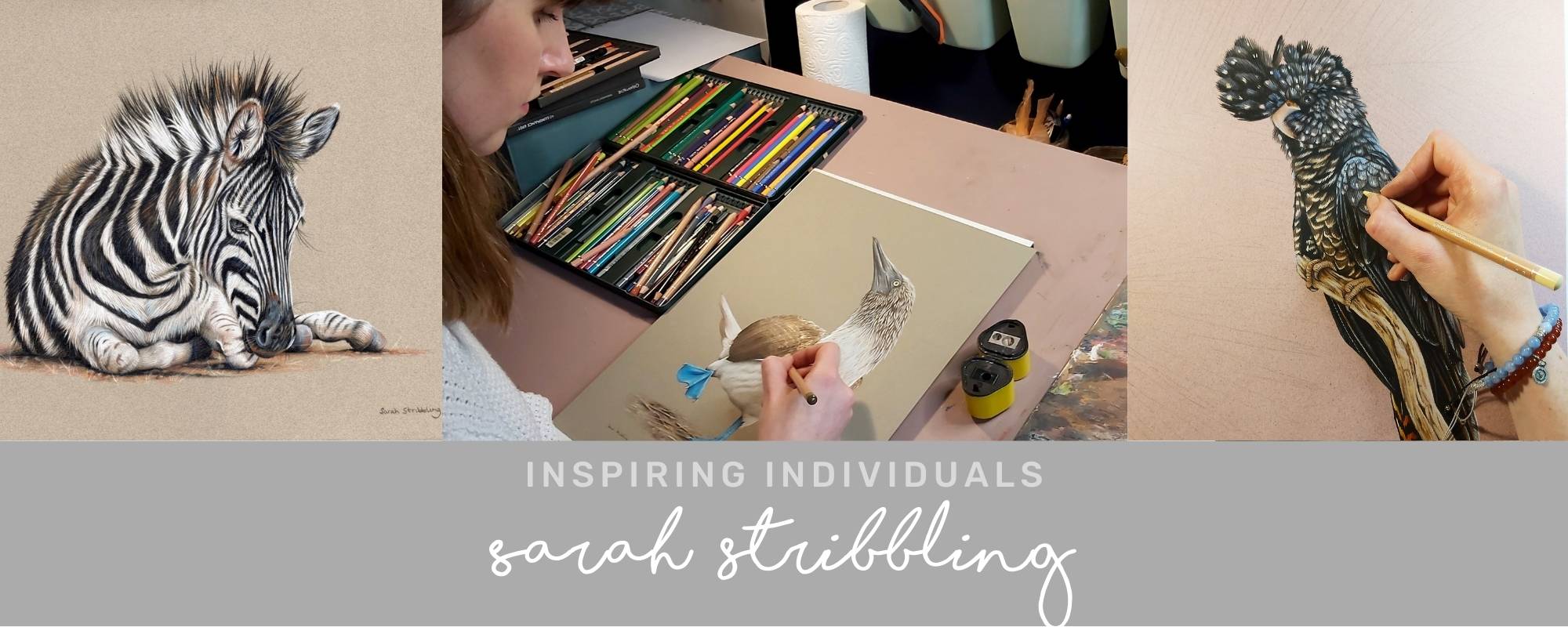 INSPIRING INDIVIDUAL: Sarah Stribbling