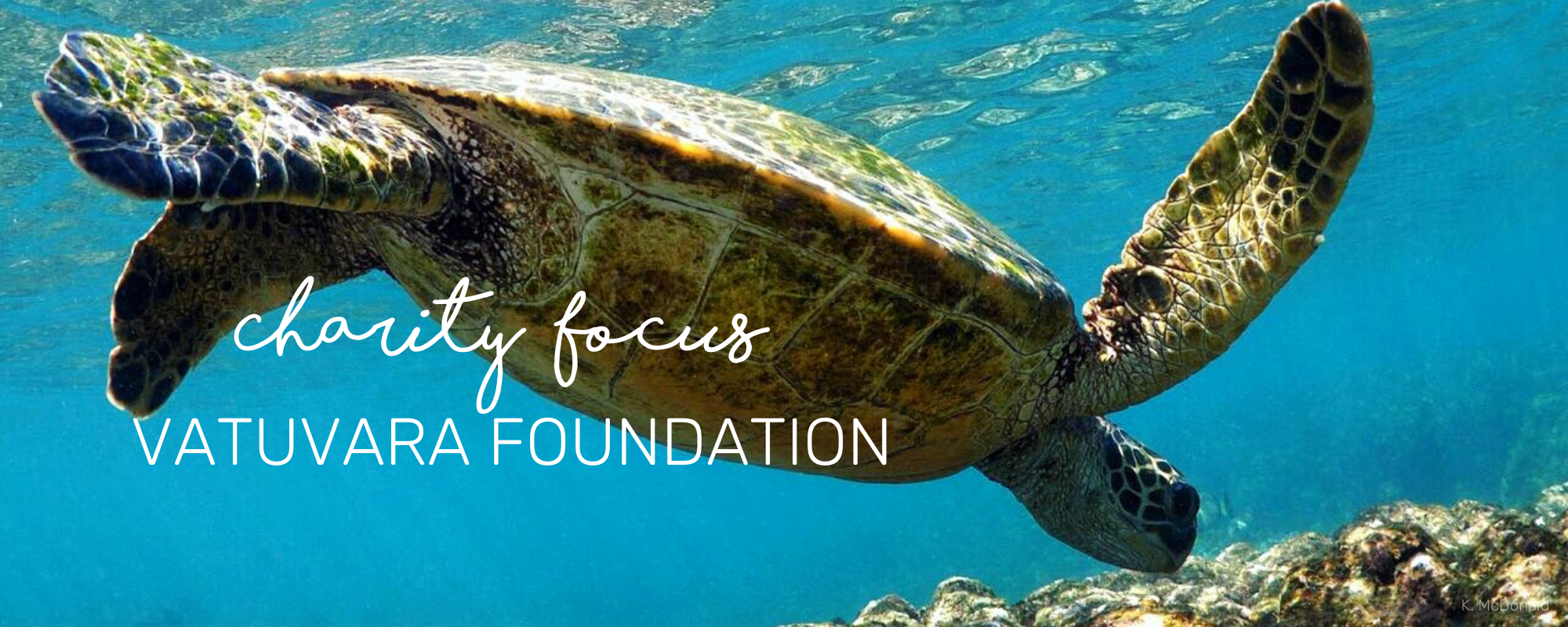 CHARITY FOCUS - VATUVARA FOUNDATION