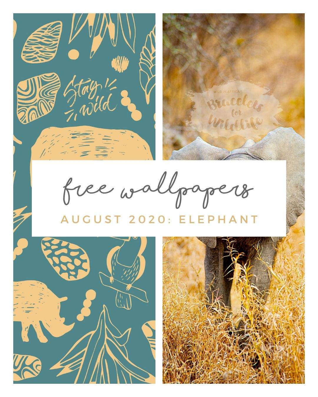 FREE AUGUST DOWNLOADS