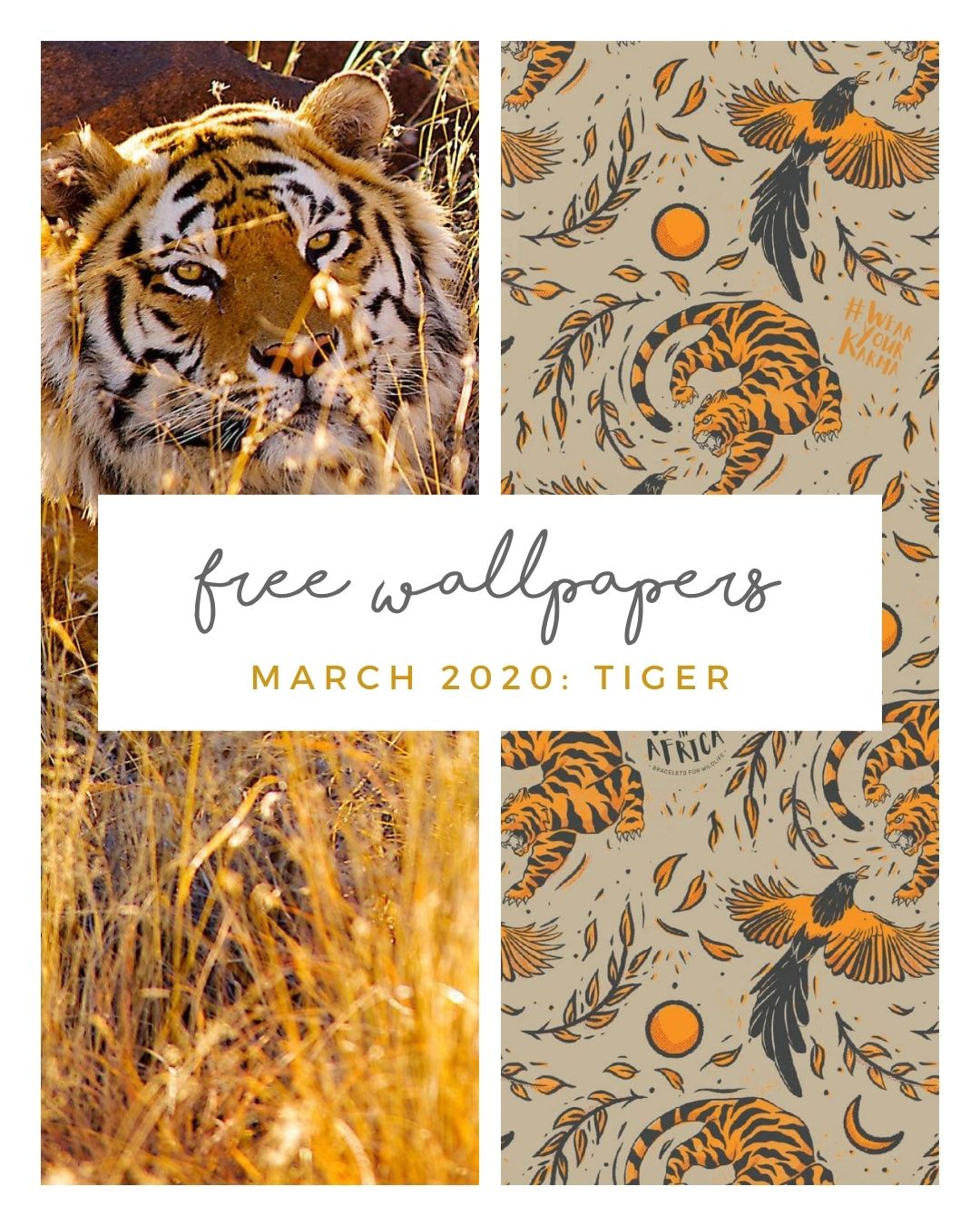 FREE MARCH DOWNLOADS