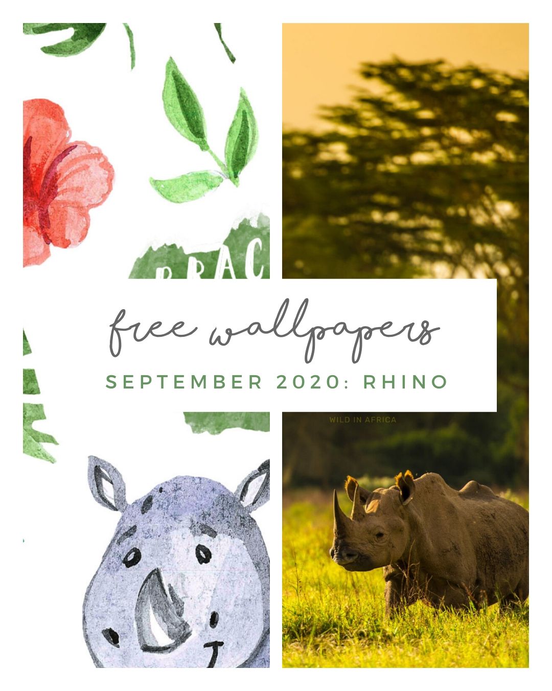 FREE SEPTEMBER DOWNLOAD