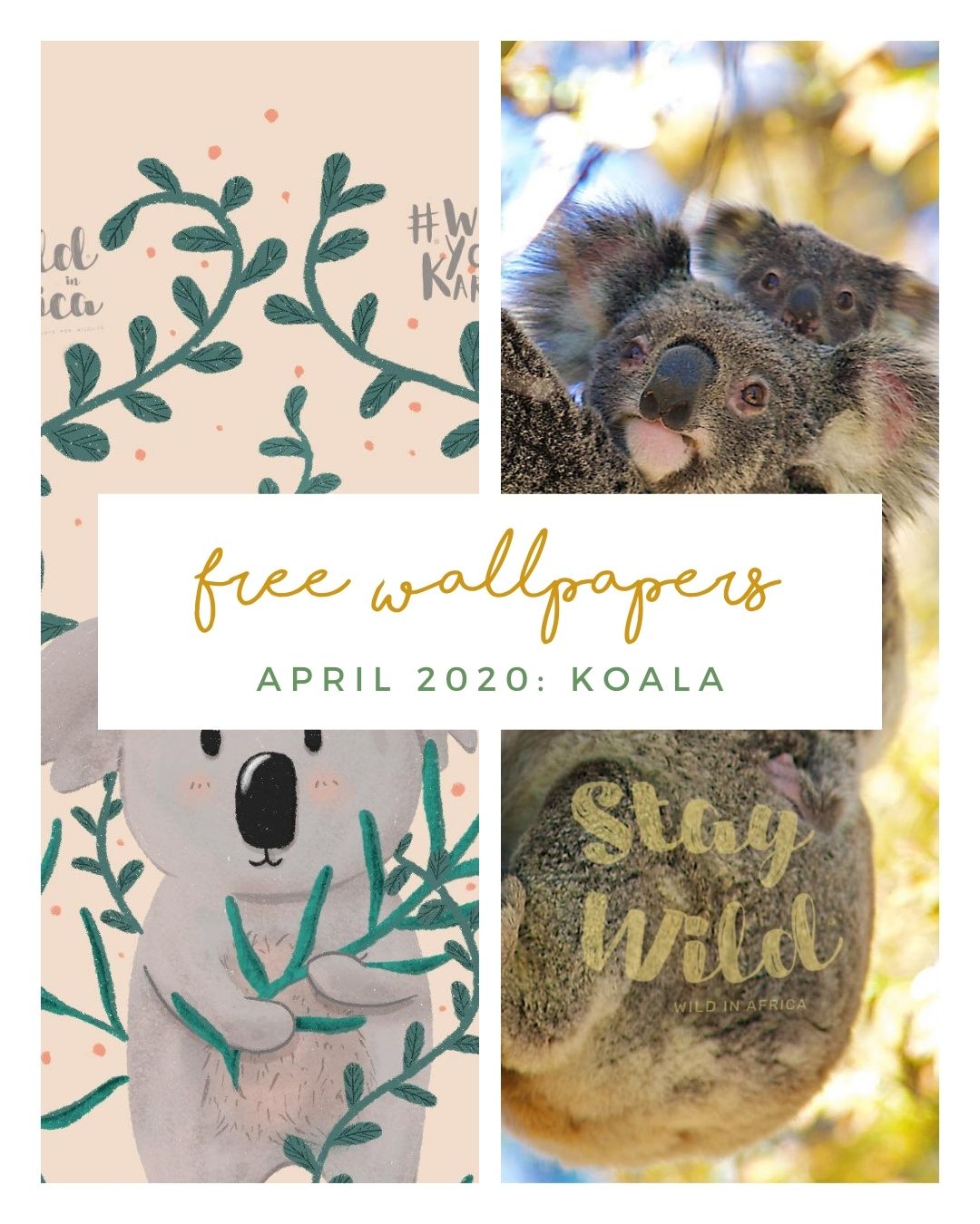FREE APRIL DOWNLOADS