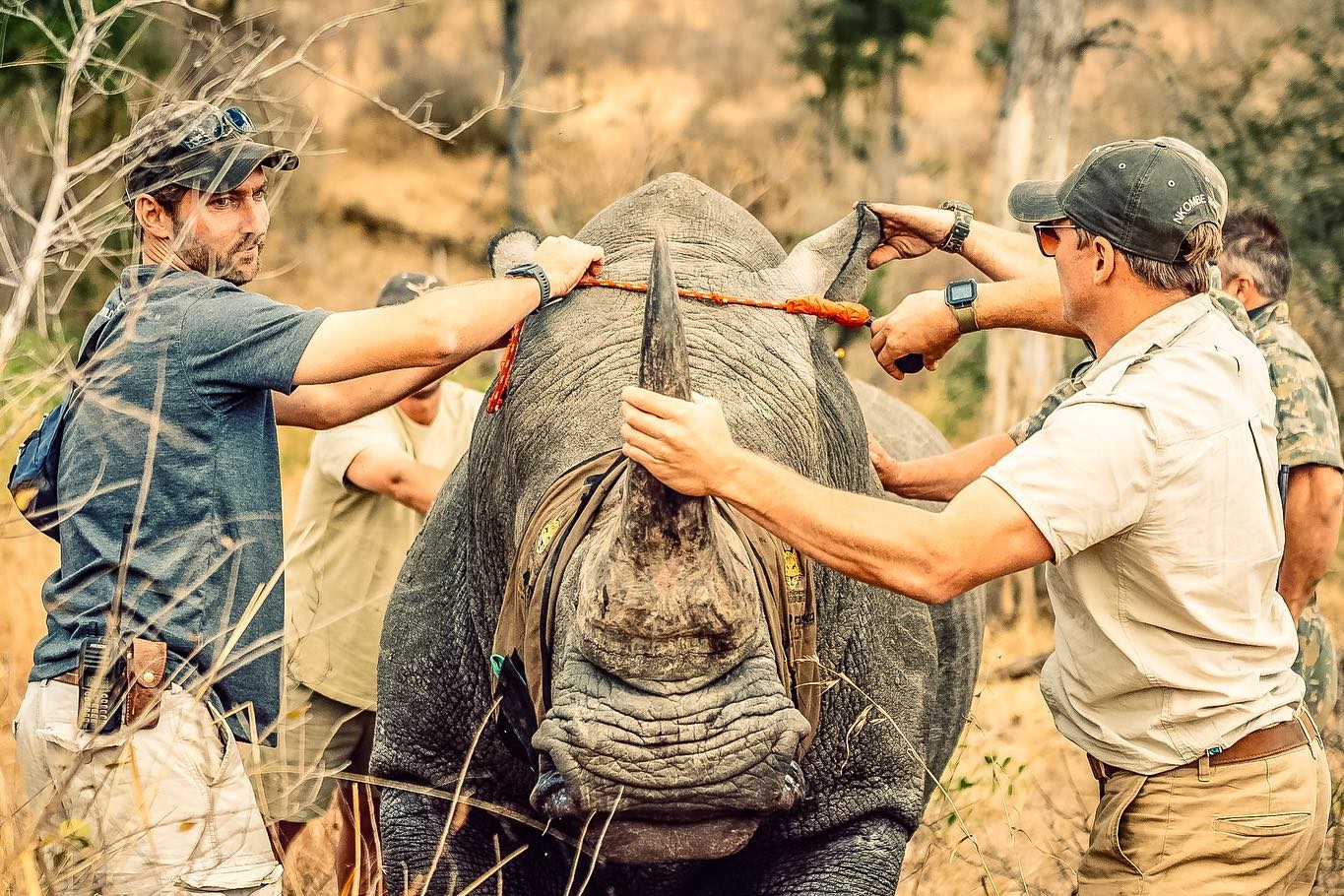 Rhino Extinction: Battle with Wild In Africa's Conservation