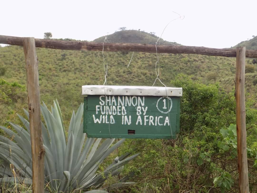 How beehive fences are changing lives — AFeWiS Elephant Conservation spotlight