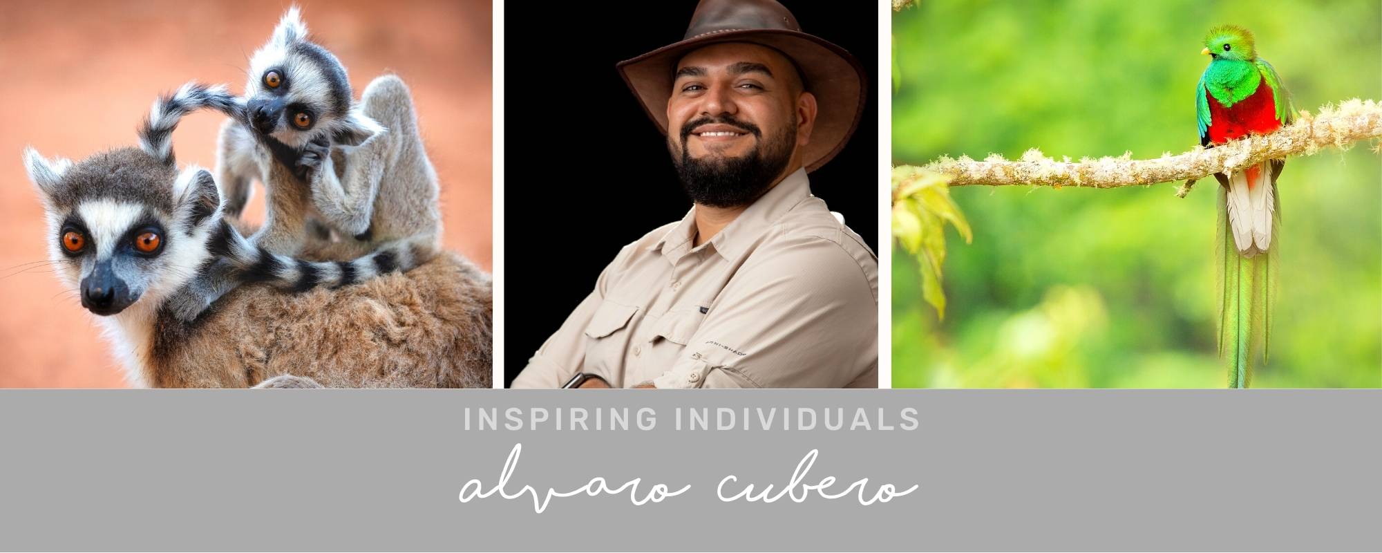 INSPIRING INDIVIDUAL: ALVARO CUBERO