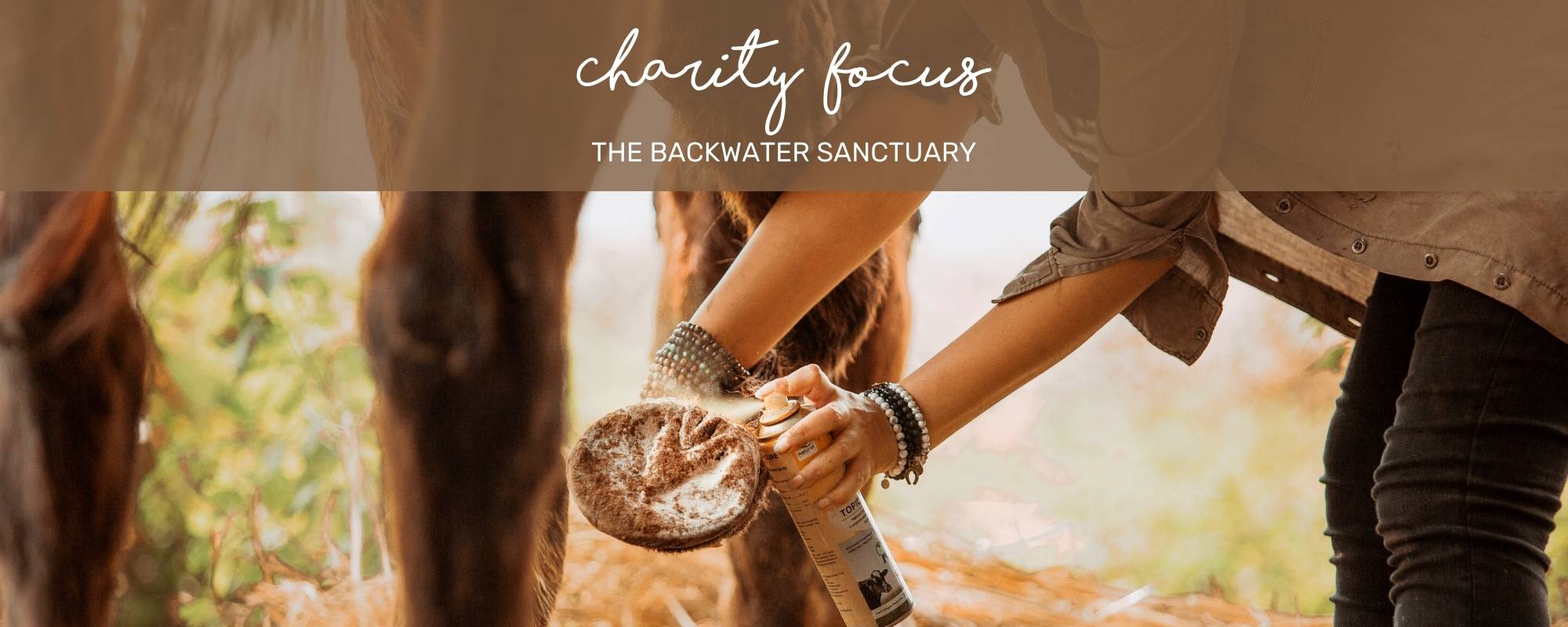 CHARITY FOCUS: THE BACKWATER SANCTUARY