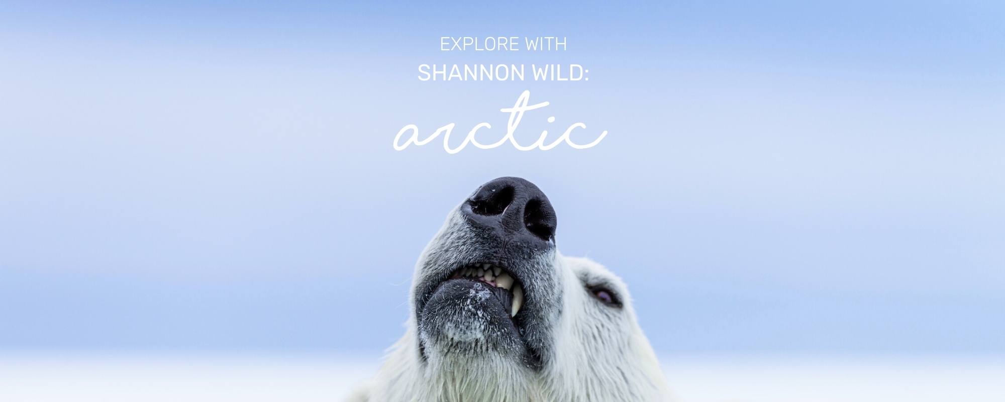 EXPLORE WITH SHANNON WILD: ARCTIC
