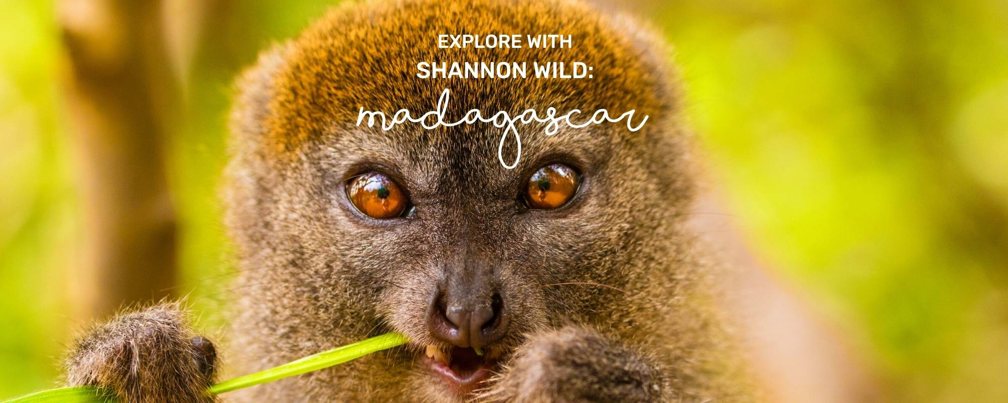 EXPLORE WITH SHANNON WILD: MADAGASCAR