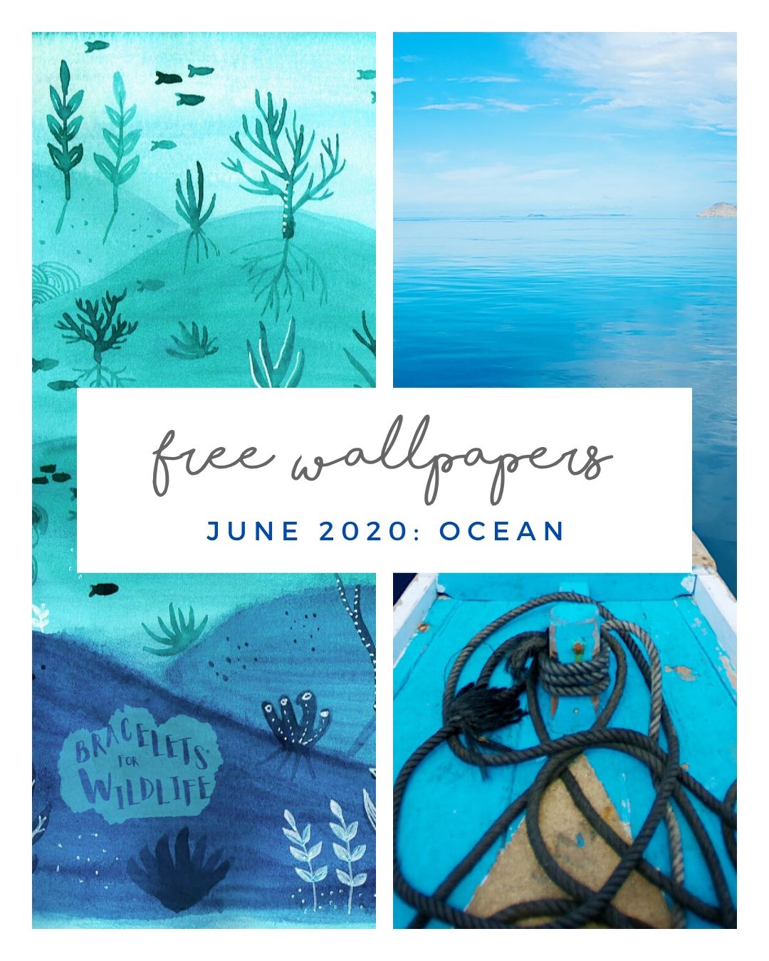 FREE JUNE DOWNLOADS