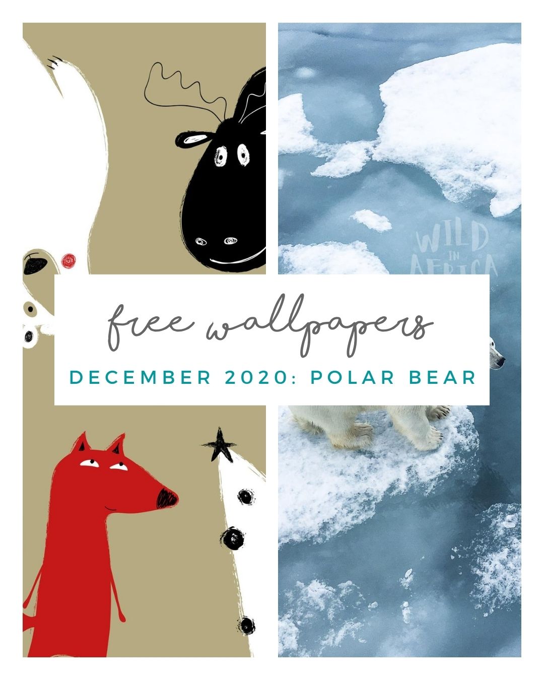 FREE DECEMBER DOWNLOAD