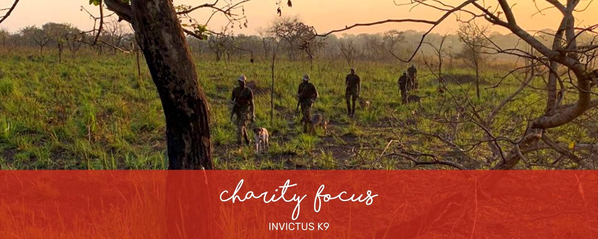 CHARITY FOCUS: INVICTUS K9