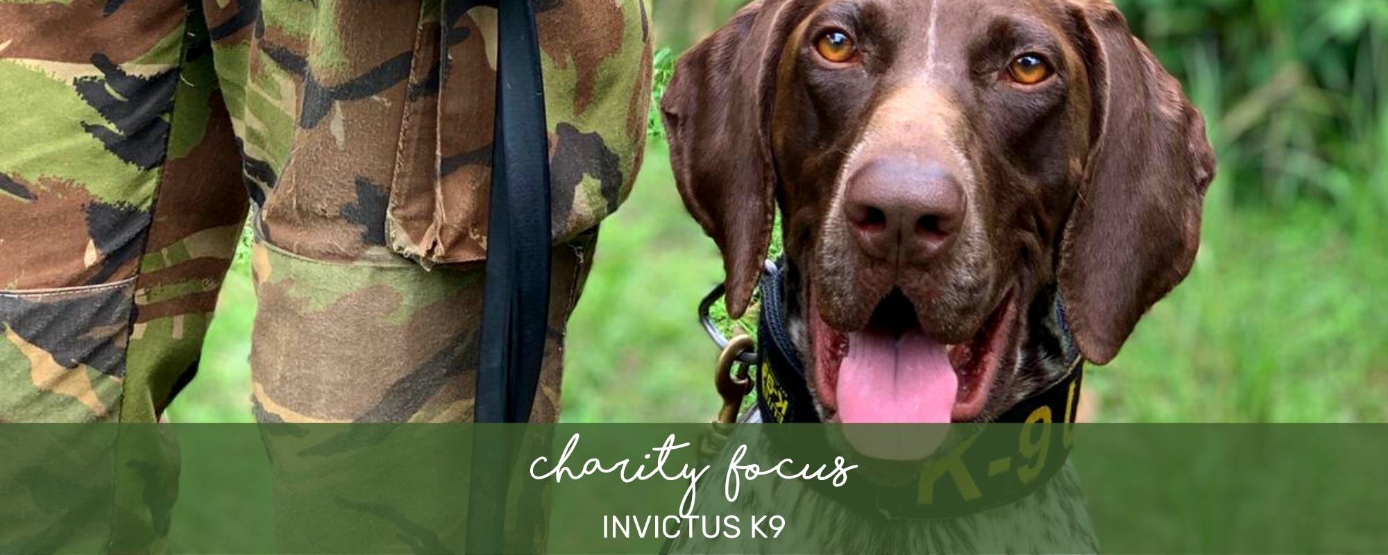 CHARITY FOCUS: INVICTUS K9