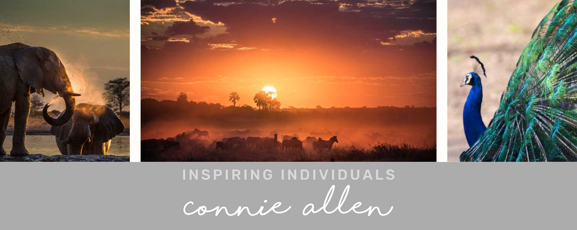 INSPIRING INDIVIDUALS: Connie Allen