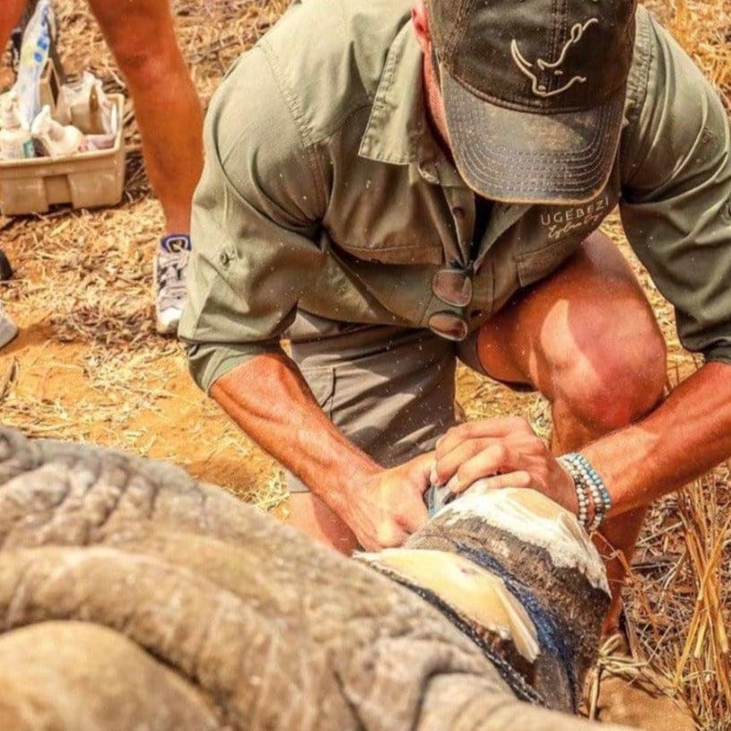 Protecting Giants: The Work of Nkombe Rhino