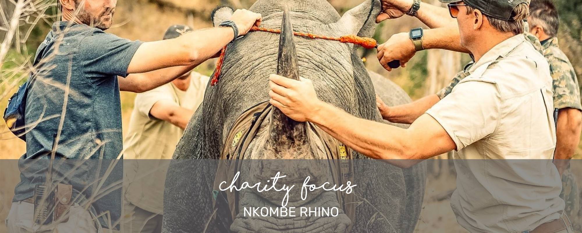 CHARITY FOCUS: NKOMBE RHINO