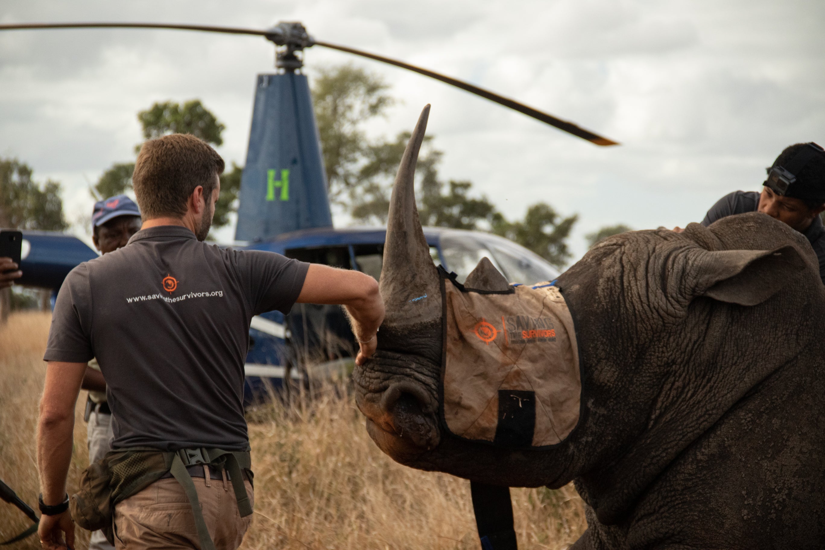 Embrace the Cause: Save the Rhinos and Protect Wildlife