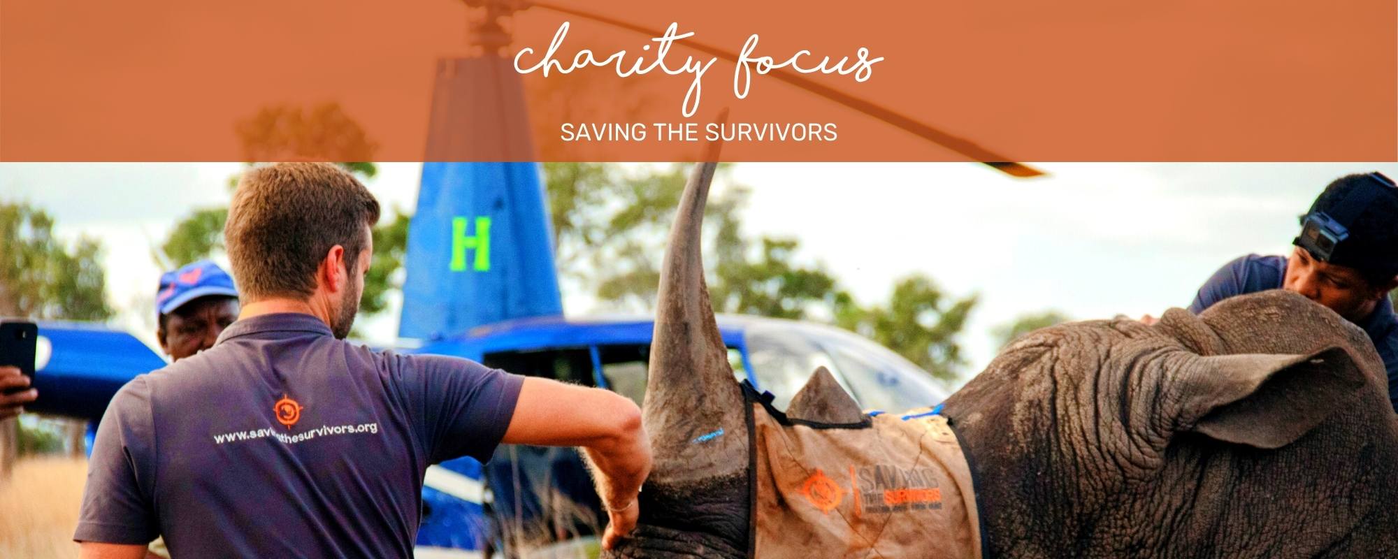 CHARITY FOCUS: SAVING THE SURVIVORS