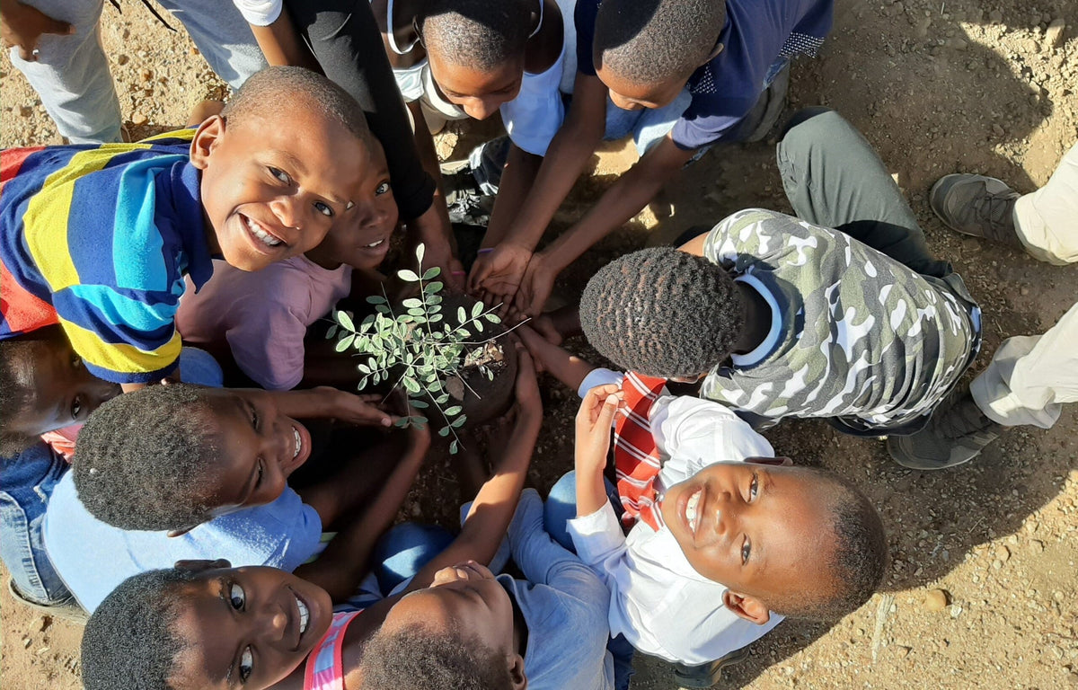 Timbavati Foundation: Conservation Begins With Connection