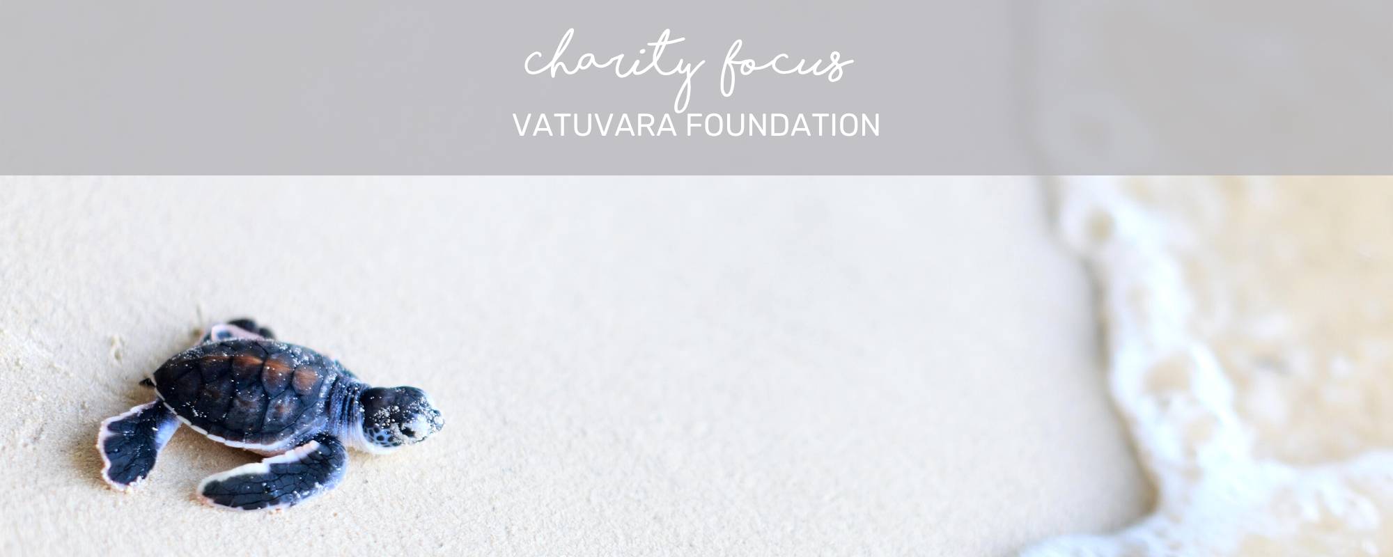 CHARITY FOCUS: VATUVARA FOUNDATION