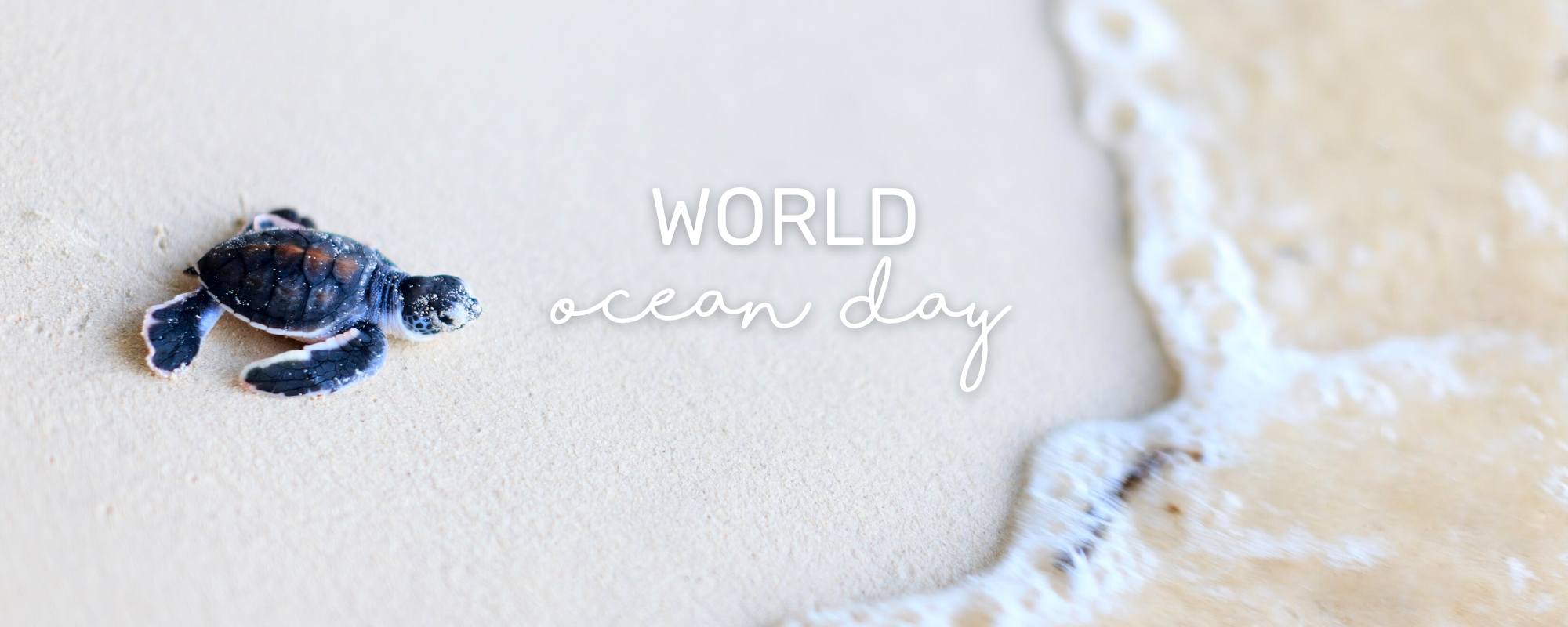 WORLD OCEAN DAY