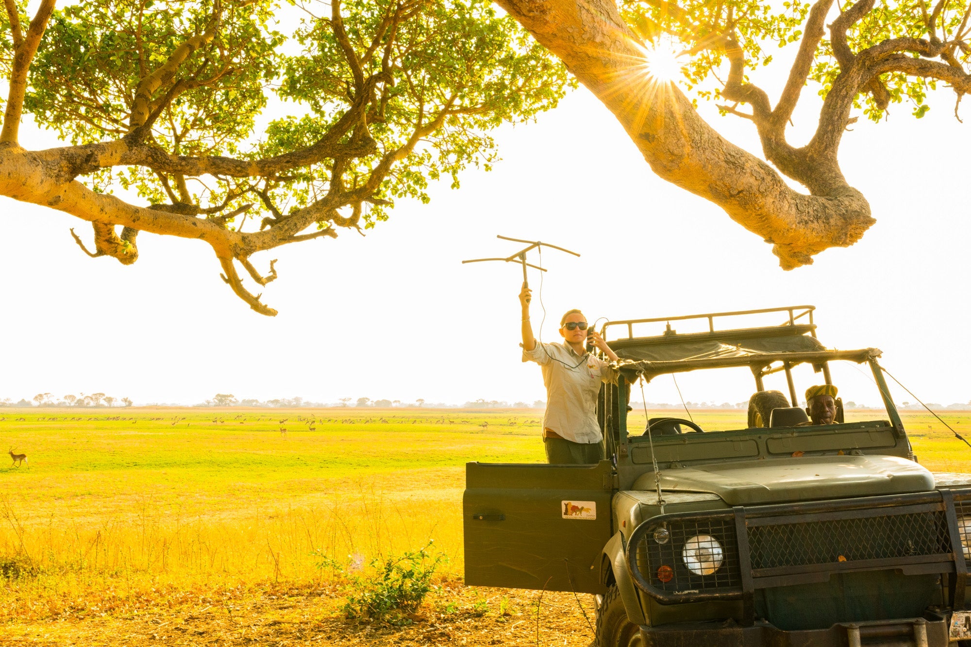Charity Spotlight: Zambian Carnivore Programme