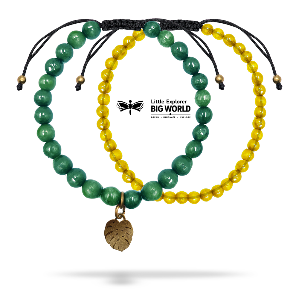 Little Explorer, Big World Charity Bracelet