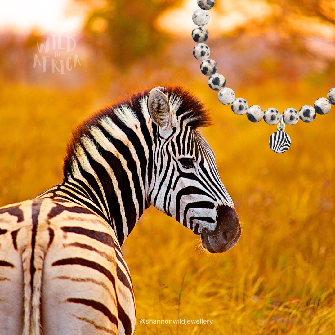 Zebra Bracelet