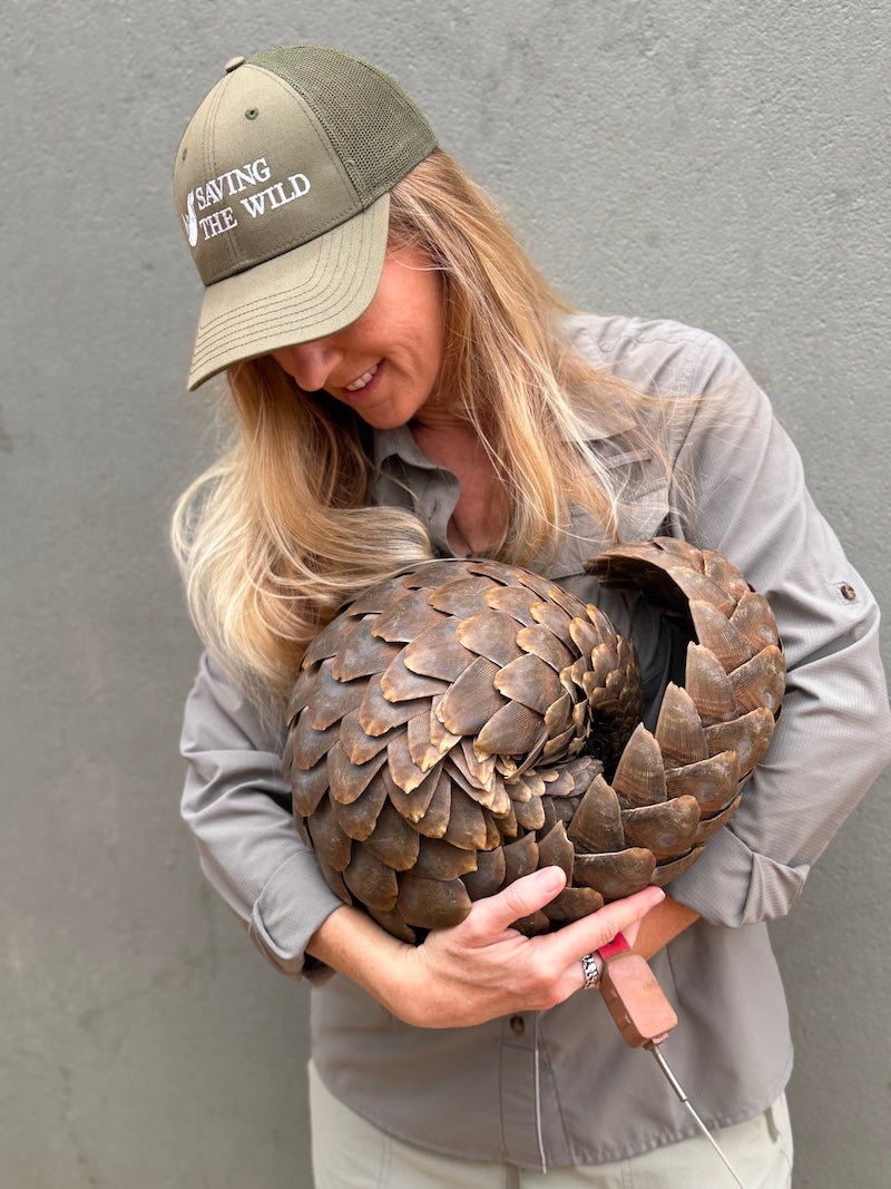 COMING SOON: Saving The Wild Charity Bracelet