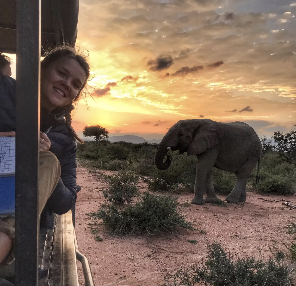 Leo Africa Charity Bracelet